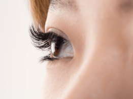 ㊤太さ0.2mm Dカール 13～10mm 80本<br/>㊦太さ0.15mm Jカール 7mm 30本